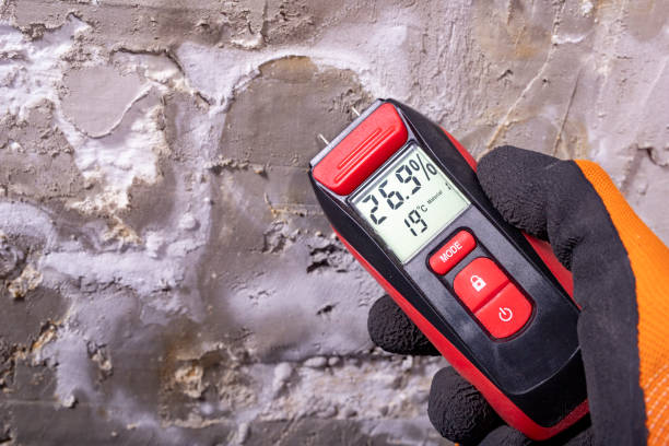 Best Certified Mold Removal  in Lowes Island, VA