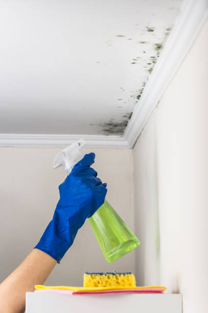 Best Crawl Space Mold Removal  in Lowes Island, VA